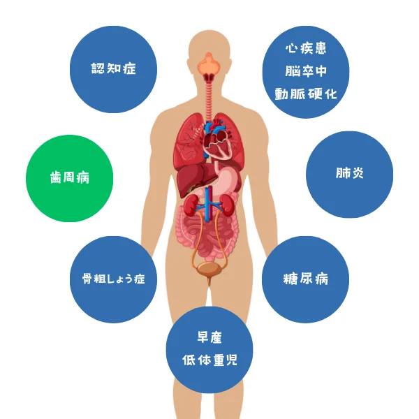 全身への影響