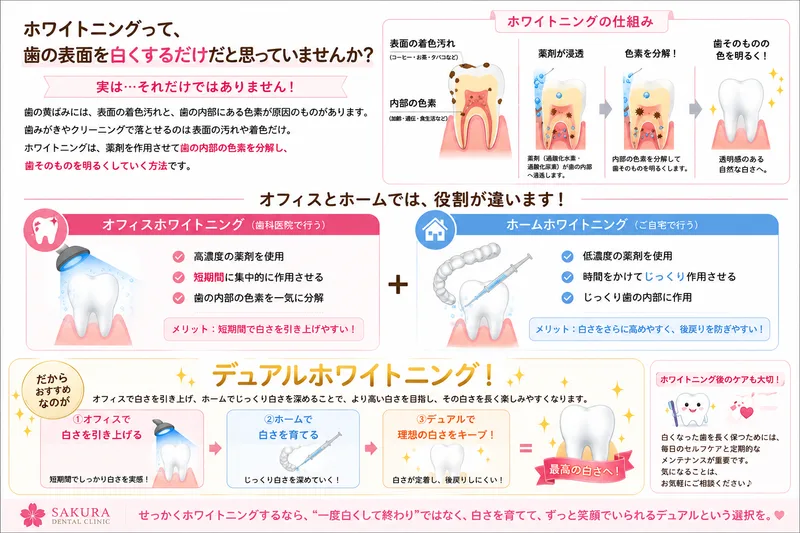 歯の表面の着色汚れと内部の色素にホワイトニング剤が作用し、歯が白く見える仕組み