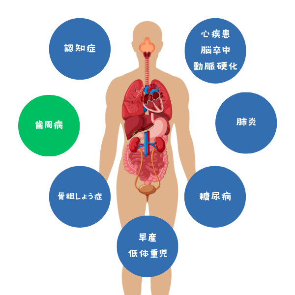 全身への影響
